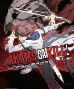 Akame Ga Kill 14 – ilevel. Librería, cómics y regalos