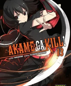 Akame Ga Kill 13 – ilevel. Librería, cómics y regalos