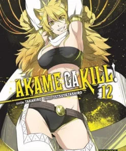 Akame Ga Kill 12 – ilevel. Librería, cómics y regalos