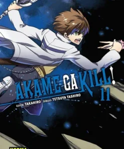 Akame Ga Kill 11 – ilevel. Librería, cómics y regalos