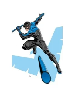 ALL IN NIGHTWING 01