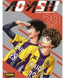 AO ASHI 29