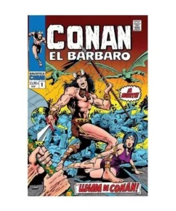 BIBLIOTECA CONAN. CONAN EL BARBARO 01 Panini Enero13,95 €13,95 € PA…