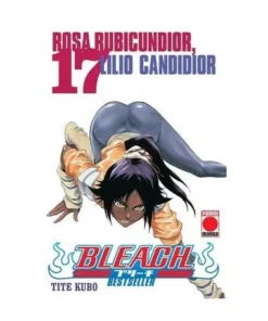BLEACH BESTSELLER 17 Panini Febrero6,00 €6,00 € PANINI Panini Febrero