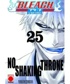 BLEACH BESTSELLER 25