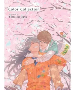 COLOR COLLECTION