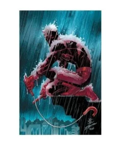 DAREDEVIL 01 (48) Panini Enero2,50 €2,50 € PANINI Panini Enero