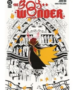 The Boy Wonder | Panini cómic en Frikomics online