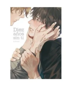 DIEZ AÑOS SIN TI