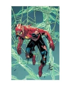 EL ASOMBROSO SPIDERMAN 11 PANINI5,50 €5,50 € PANINI PANINI