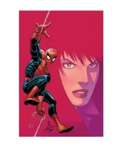 EL ASOMBROSO SPIDERMAN 16 PANINI5,50 €5,50 € PANINI PANINI