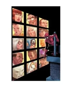 EL ASOMBROSO SPIDERMAN 17 PANINI6,50 €6,50 € PANINI PANINI