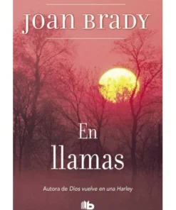 EN LLAMAS ZB 9788496581098 10,95 €
