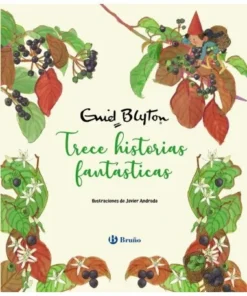 ENID BLYTON TRECE HISTORIAS FANTASTICAS