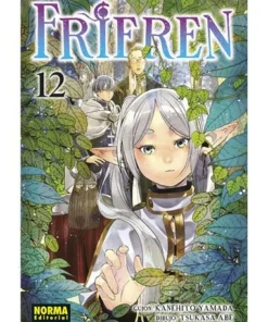 FRIEREN 12