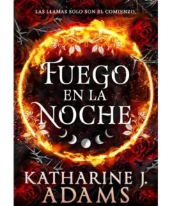 FUEGO EN LA NOCHE