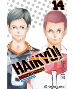 HAIKYE 14