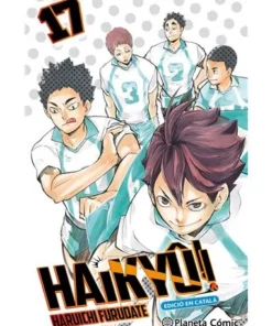 HAIKYE 17 (CAT)