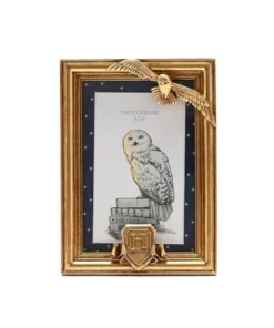 HARRY POTTER MARCO DE FOTOS DORADO HEDWIG HARRY POTTER19,95 €19,95 …