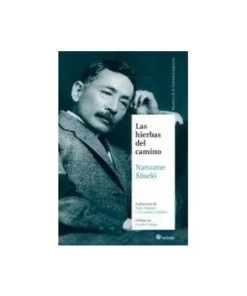HIERBAS DEL CAMINO,LAS 9788493619893 22,08 €