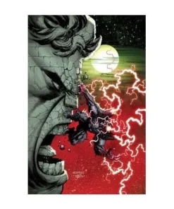 HULK 13. (EL INCREIBLE HULK V.2 128) PANINI3,30 €3,30 € PANINI PANINI