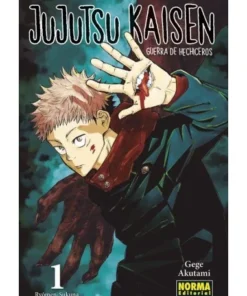 JUJUTSU KAISEN 01 NORMA EDITORIAL9,00 €9,00 € NORMA EDITORIAL NORMA…