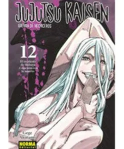JUJUTSU KAISEN 12 NE