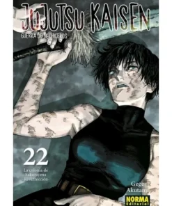 JUJUTSU KAISEN 22 NORMA EDITORIAL9,00 €9,00 € NORMA EDITORIAL