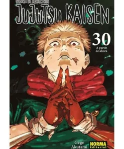 JUJUTSU KAISEN 30