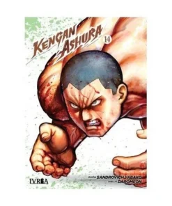 KENGAN ASHURA 14
