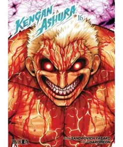 KENGAN ASHURA 16