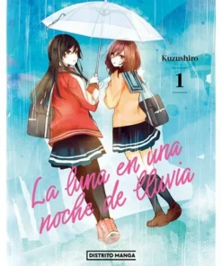 LA LUNA EN UNA NOCHE DE LLUVIA 1