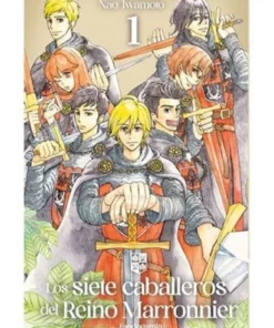 LOS SIETE CABALLEROS DEL REINO MARRONNIER 01
