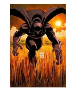 MARVEL MUST-HAVE. ¿QUIEN ES PANTERA NEGRA? PANINI18,00 €18,00 € PAN…