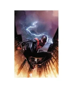 MILES MORALES: SPIDER-MAN 25 PANINI3,80 €3,80 € PANINI PANINI