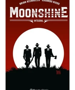 MOONSHINE INTEGRAL