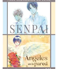 PACK BIKKE SENPAI-ANGELES EN LA PARED 2 TOMOS BL
