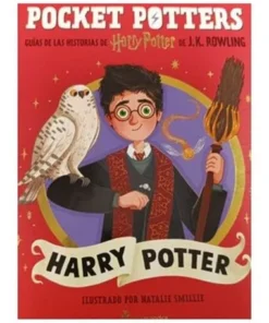 POCKET POTTERS: HARRY POTTER