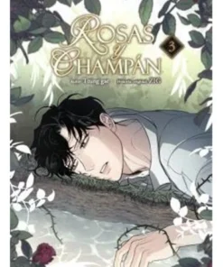 ROSAS Y CHAMPAN 03
