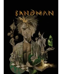 Sandman vol. 11: El velatorio (DC Pocket) ECC EDICIONES9,95 €9,95 €…