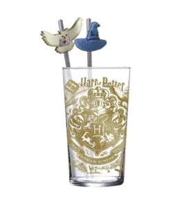 Vaso Harry Potter 480 ml con 2 pajitas | Magic & Mayhem