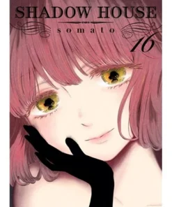 SHADOW HOUSE 16