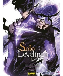 SOLO LEVELING 13