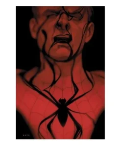 SPIDERMAN: LA SOMBRA DE LA ARAÑA PANINI18,00 €18,00 € PANINI PANINI