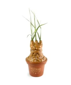 Tarro Multiusos Harry potter Mandragora HARRY POTTER24,95 €24,95 € …