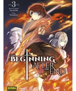 THE BEGINNING AFTER THE END 3
