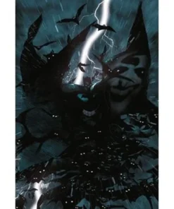 THE BRAVE AND THE BOLD. BATMAN: LA CARTA GANADORA