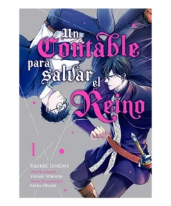 UN CONTABLE PARA SALVAR EL REINO VOL 1