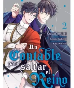 UN CONTABLE PARA SALVAR EL REINO VOL 2