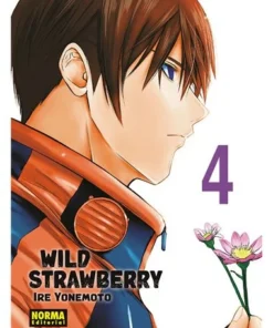 WILD STRAWBERRY | IRE YONEMOTO